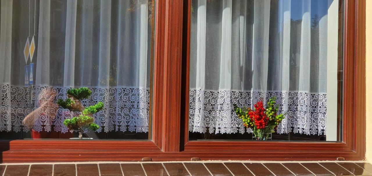 Appartamento APARTAMENCIK MAJA studio Kudowa-Zdrój Esterno foto