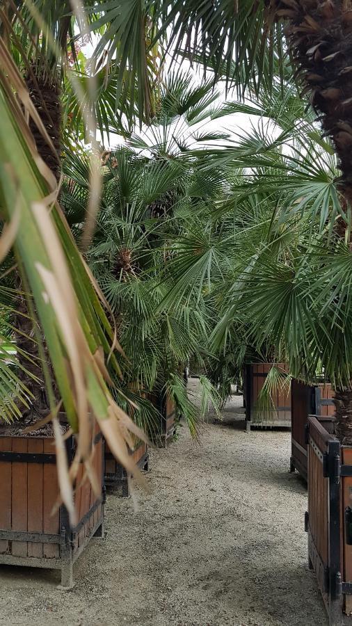 Appartamento APARTAMENCIK MAJA studio Kudowa-Zdrój Esterno foto