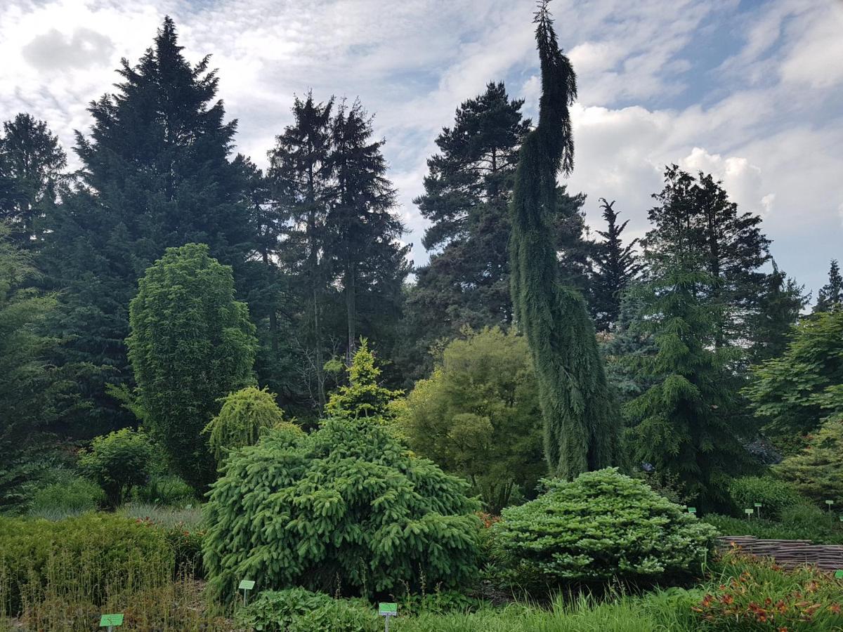 Appartamento APARTAMENCIK MAJA studio Kudowa-Zdrój Esterno foto