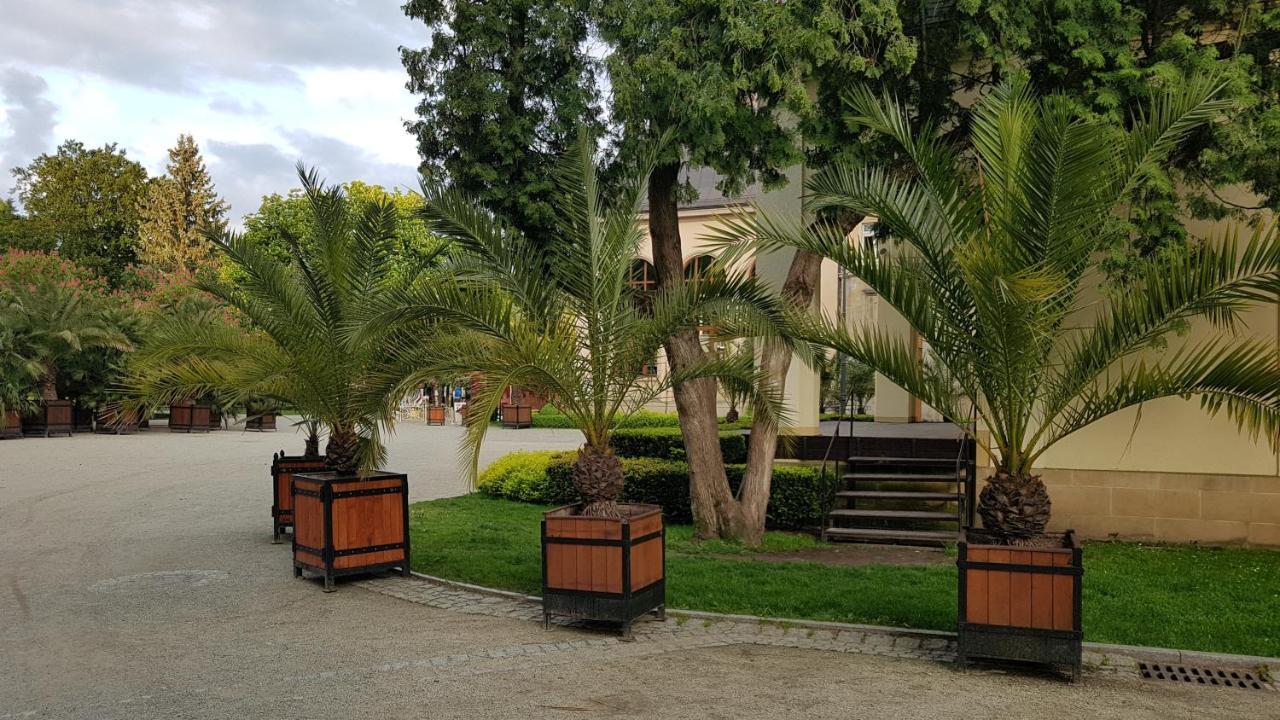 Appartamento APARTAMENCIK MAJA studio Kudowa-Zdrój Esterno foto